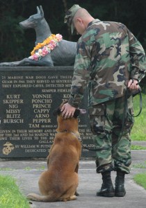 marine dog memorial